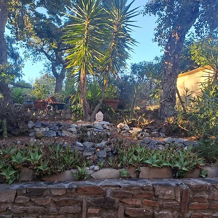 Golfe De St Tropez Cote D'azur Appartement