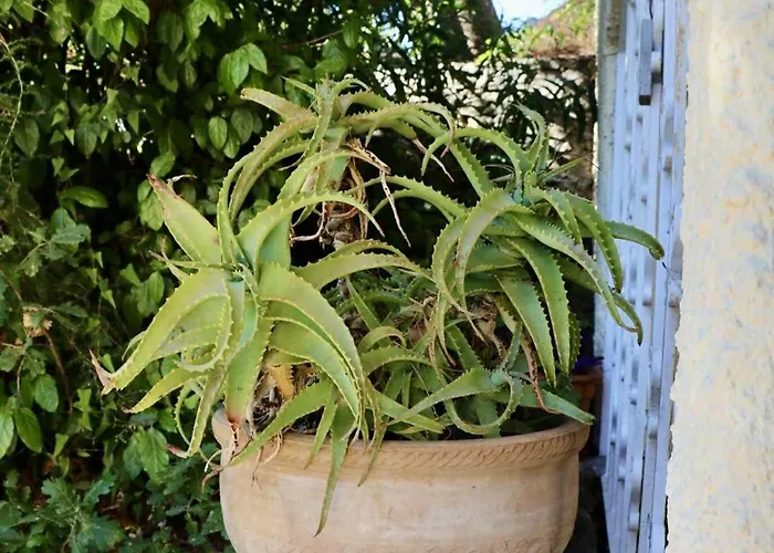 Apartament Golfe De St Tropez Cote D'azur Grimaud