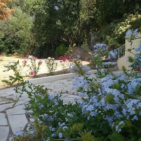 Golfe De St Tropez Cote D'azur *