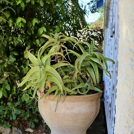 아파트 Golfe De St Tropez Cote D'azur 그리모