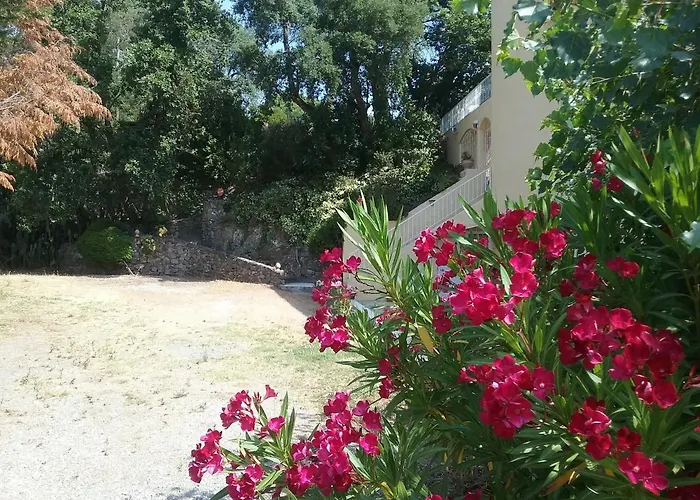 Golfe De St Tropez Cote D'azur Lägenhet *