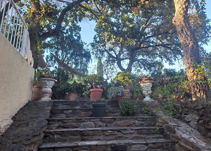 Golfe De St Tropez Cote D'azur Lägenhet *
